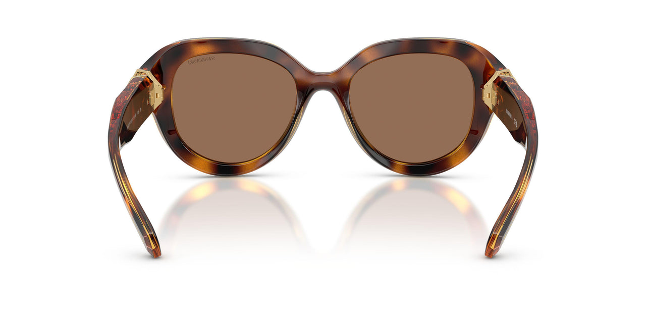 100273 - Tortoise - Dark Brown