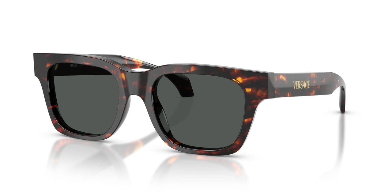 550987 - Tortoise - Dark Grey