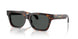 550987 - Tortoise - Dark Grey