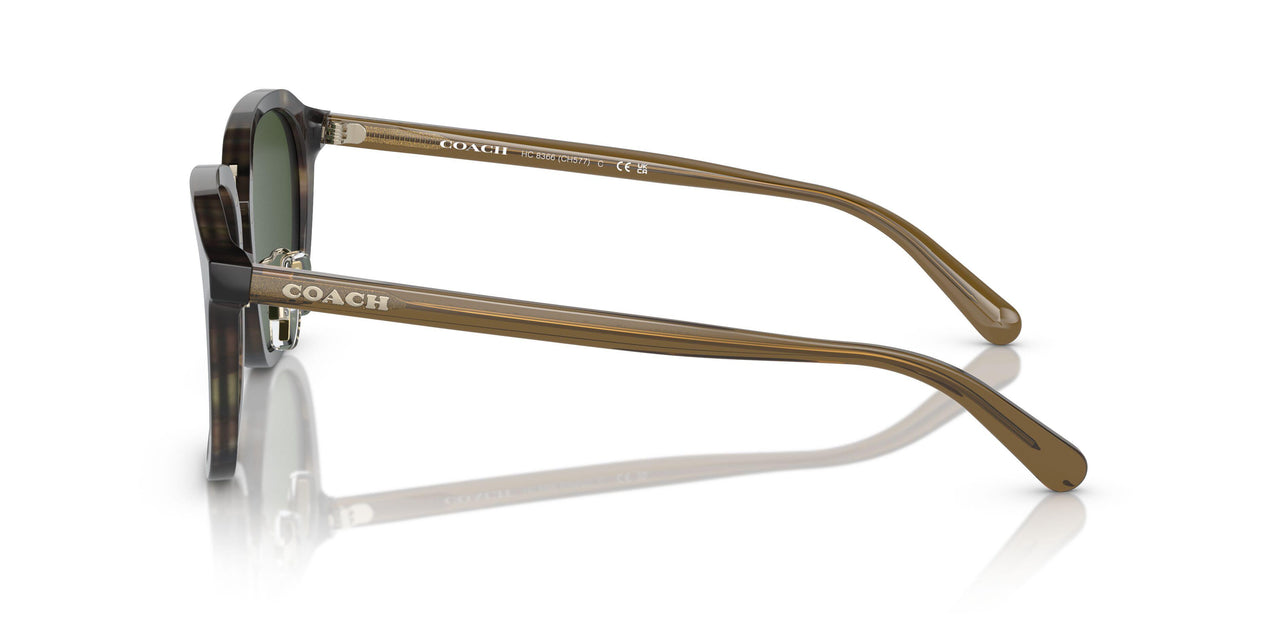 575571 - Tortoise - Green Solid