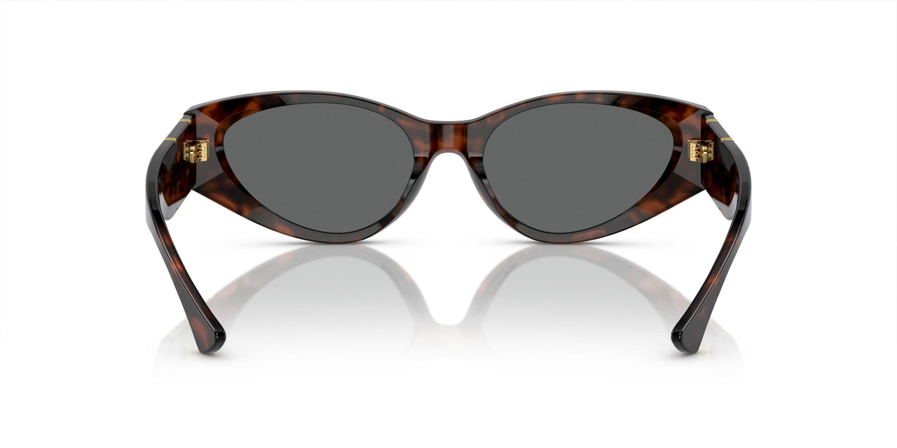 542987 - Tortoise - Dark Grey