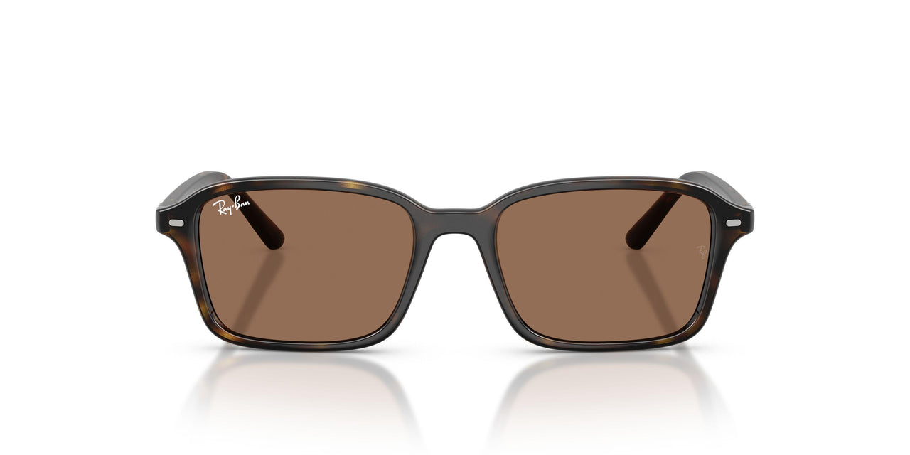 152/73 - Tortoise - Dark Brown