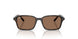 152/73 - Tortoise - Dark Brown