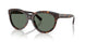 80153H - Tortoise - Dark Green