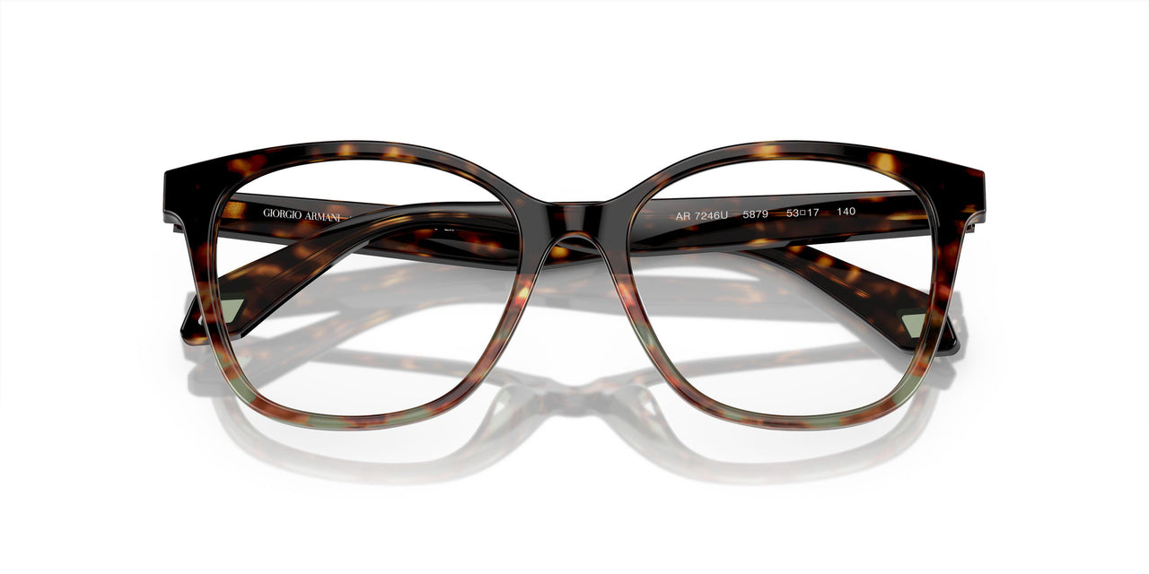 5879 - Brown