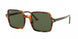 954/31 - Havana - Green