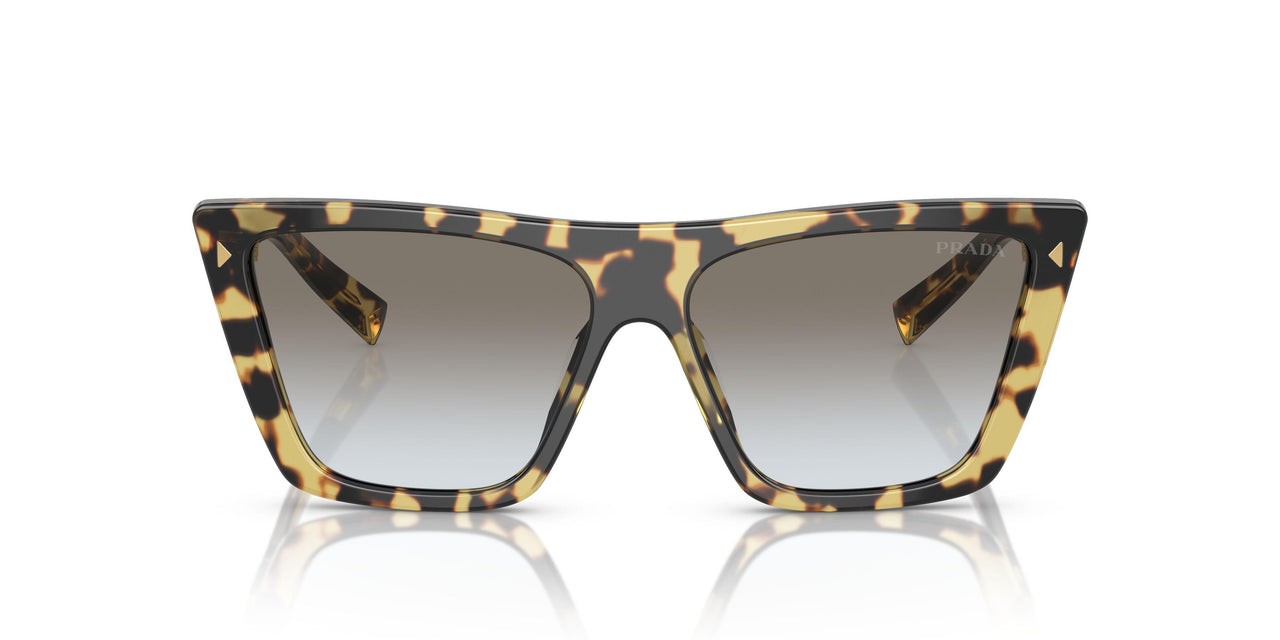 7S00A7 - Tortoise - Grey Gradient