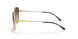 280/13 - Gold - Gradient Brown