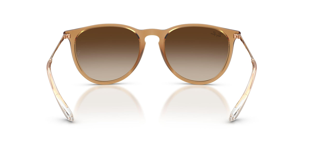 681413 - Brown - Gradient Brown