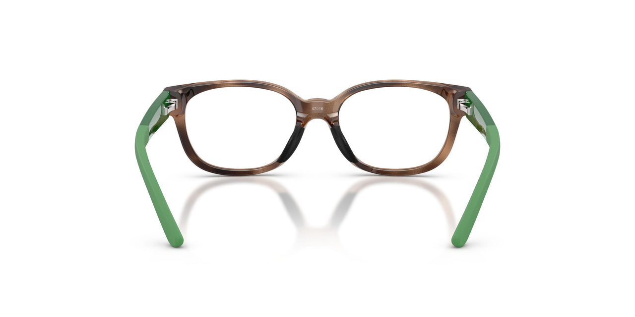 5974 - Tortoise