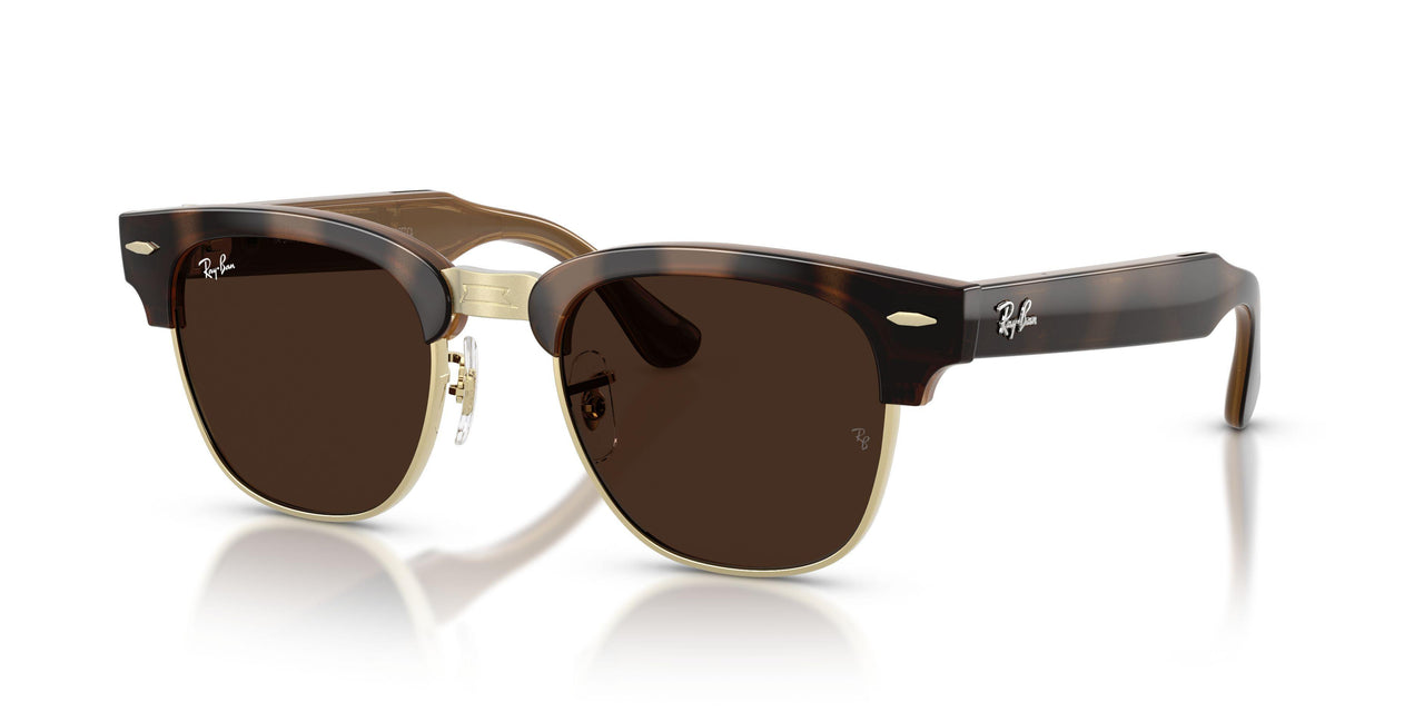 6928M4 - Tortoise - Clear/brown