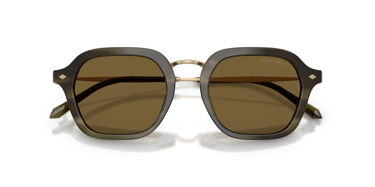 616873 - Green - Dark Brown