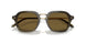 616873 - Green - Dark Brown