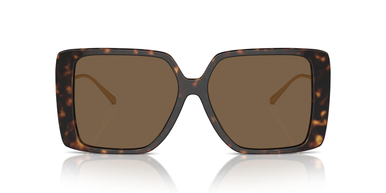 196473 - Tortoise - Dark Brown