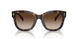 500313 - Brown - Gradient Brown