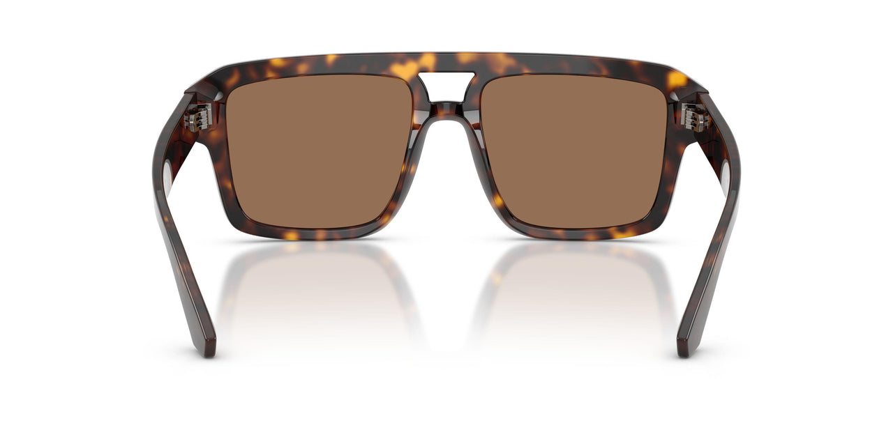 502/73 - Tortoise - Dark Brown