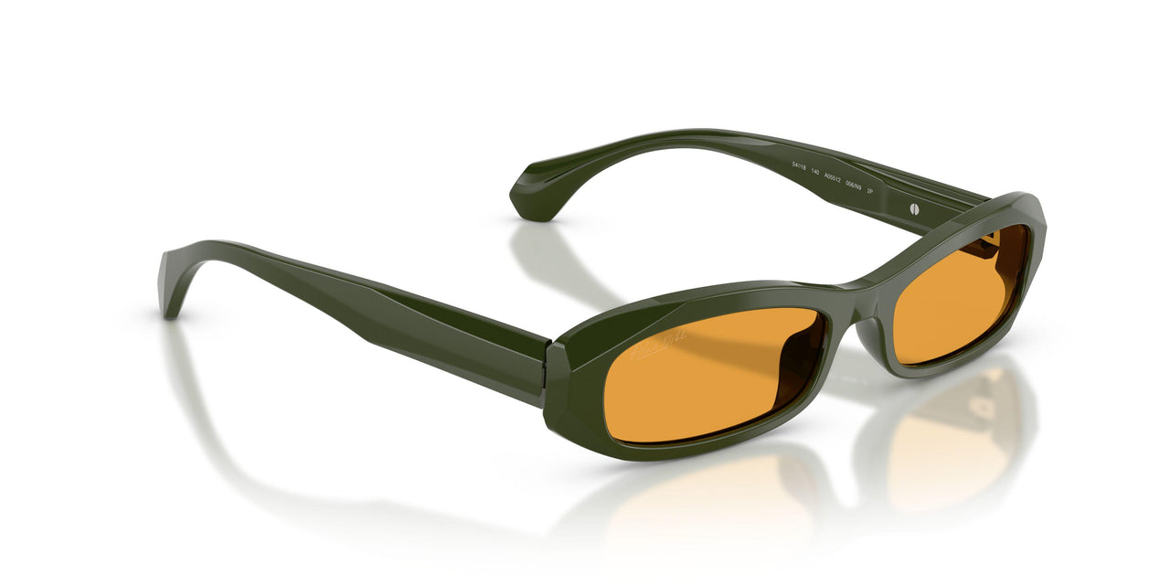 006/N9 - Green - Polar Yellow