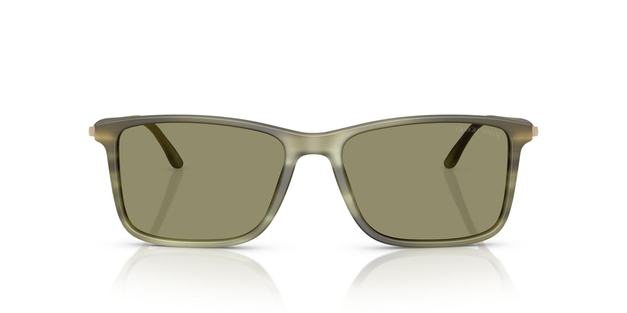 61682A - Tortoise - Green