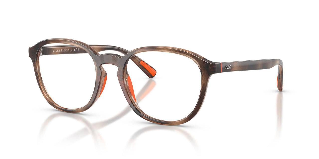 5974 - Tortoise