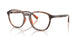 5974 - Tortoise