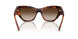 W65613 - Brown - Gradient Dark Brown