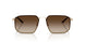 300213 - Gold - Gradient Brown