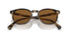 171353 - Brown - True Brown