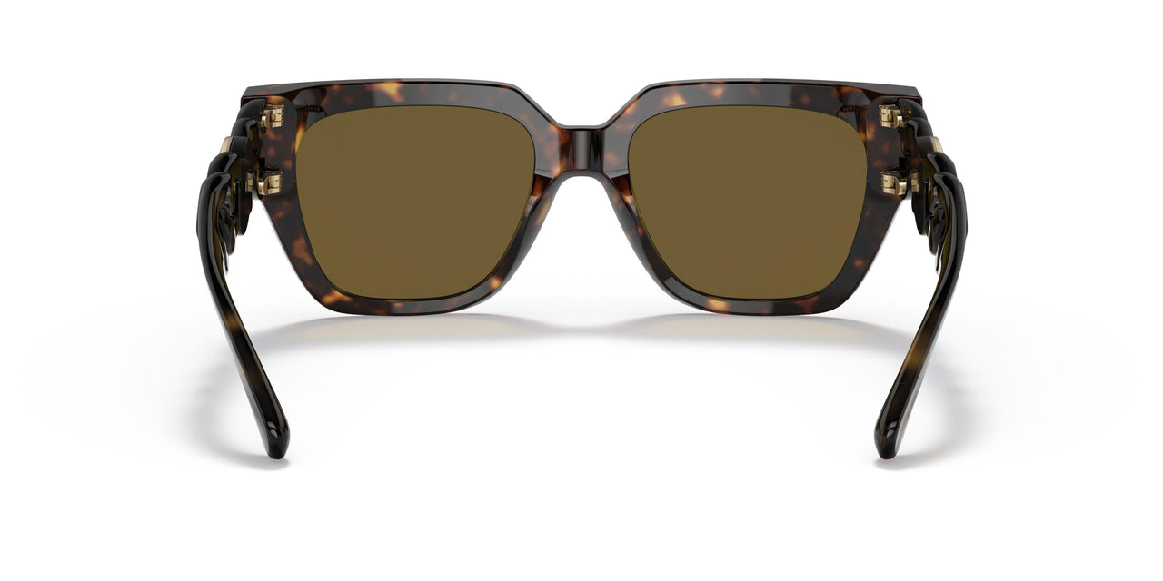 108/73 - Havana - Dark Brown