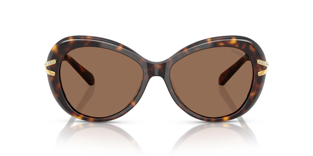 100273 - Tortoise - Dark Brown