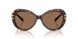 100273 - Tortoise - Dark Brown