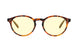 02301300 - Tortoise - Amber
