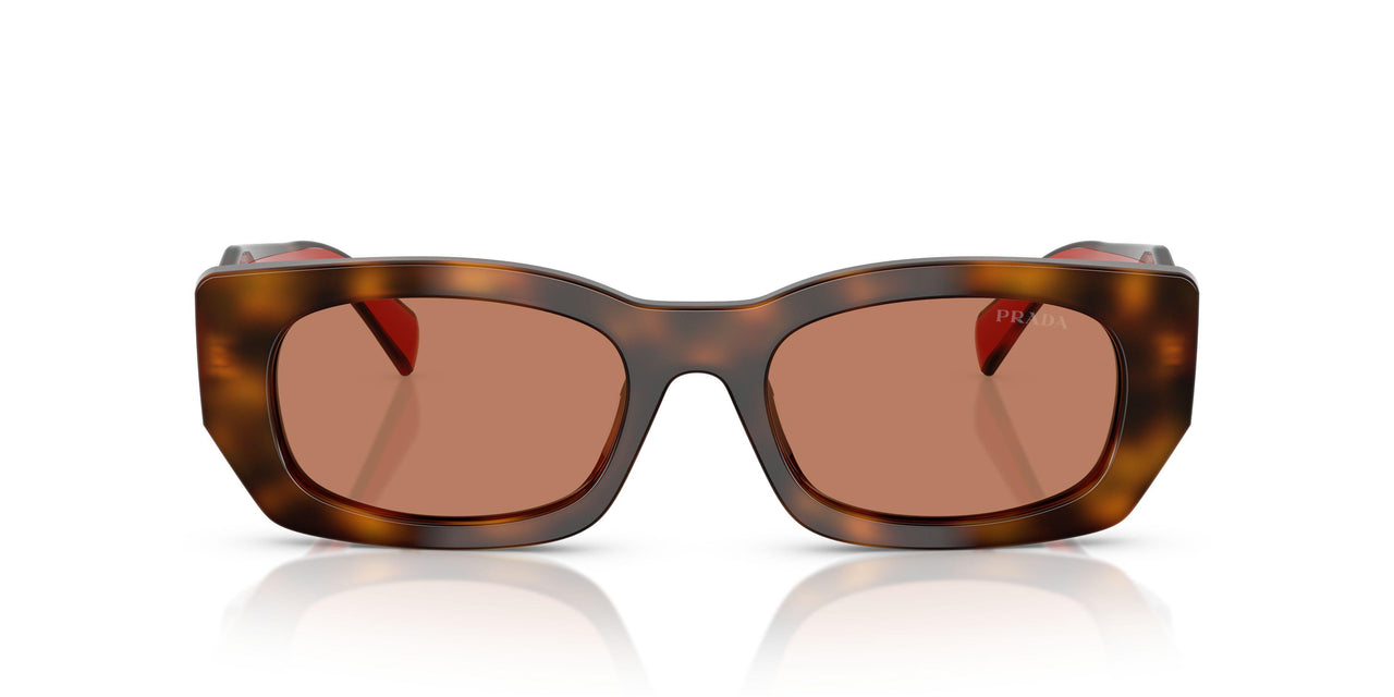 01K90Q - Tortoise - Brown