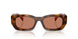 01K90Q - Tortoise - Brown