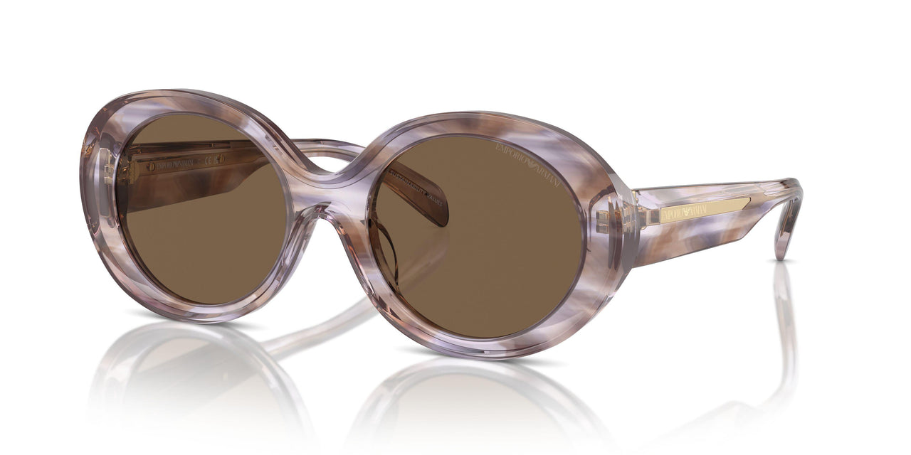 615673 - Tortoise - Dark Brown