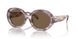 615673 - Tortoise - Dark Brown