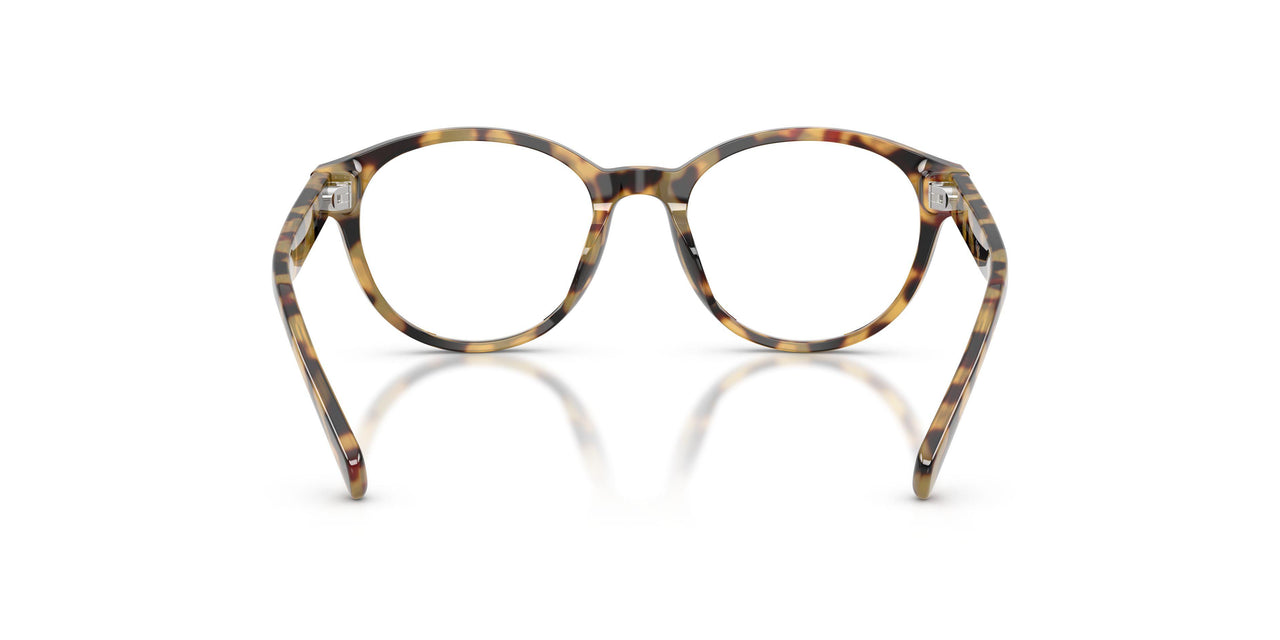 6148 - Tortoise