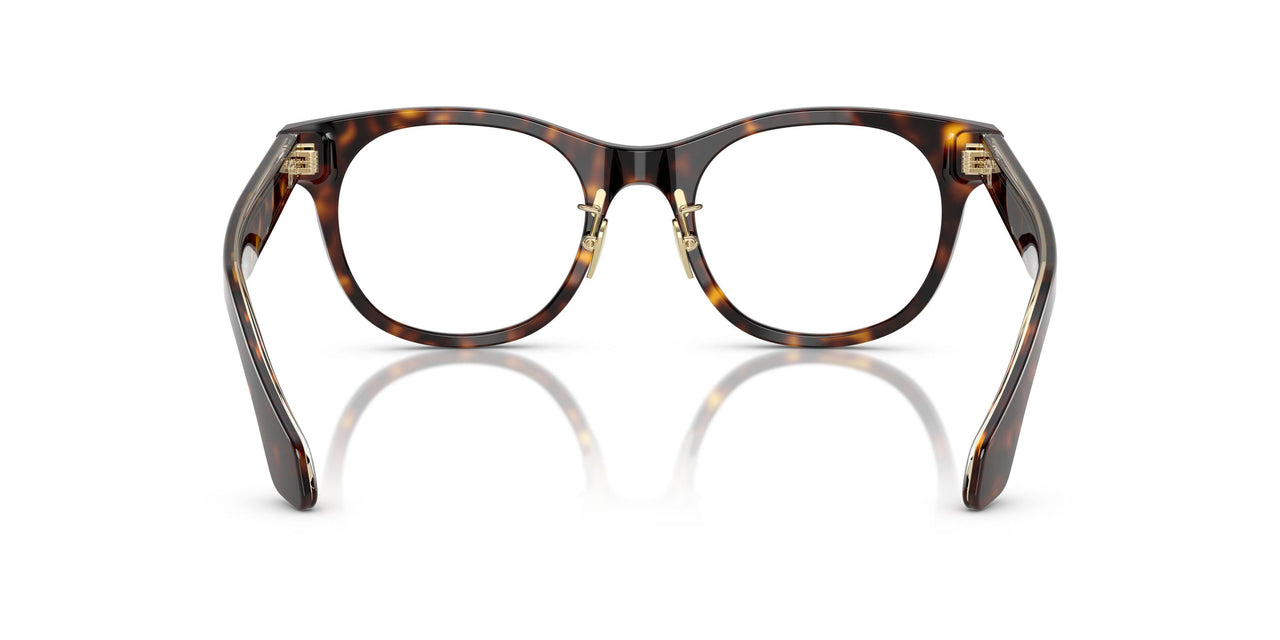 5026 - Tortoise