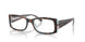 8401 - Tortoise - Clear