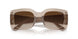 299013 - Brown - Gradient Brown
