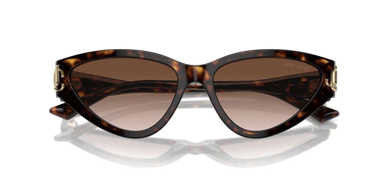 500213 - Tortoise - Gradient Brown