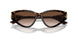 500213 - Tortoise - Gradient Brown