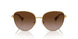 900413 - Gold - Gradient Brown