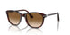 24/51 - Tortoise - Clear Gradient Brown