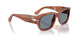 96/56 - Brown - Light Blue