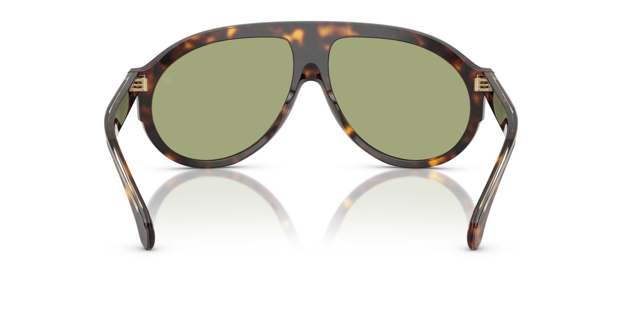 300282 - Tortoise - Green