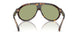 300282 - Tortoise - Green