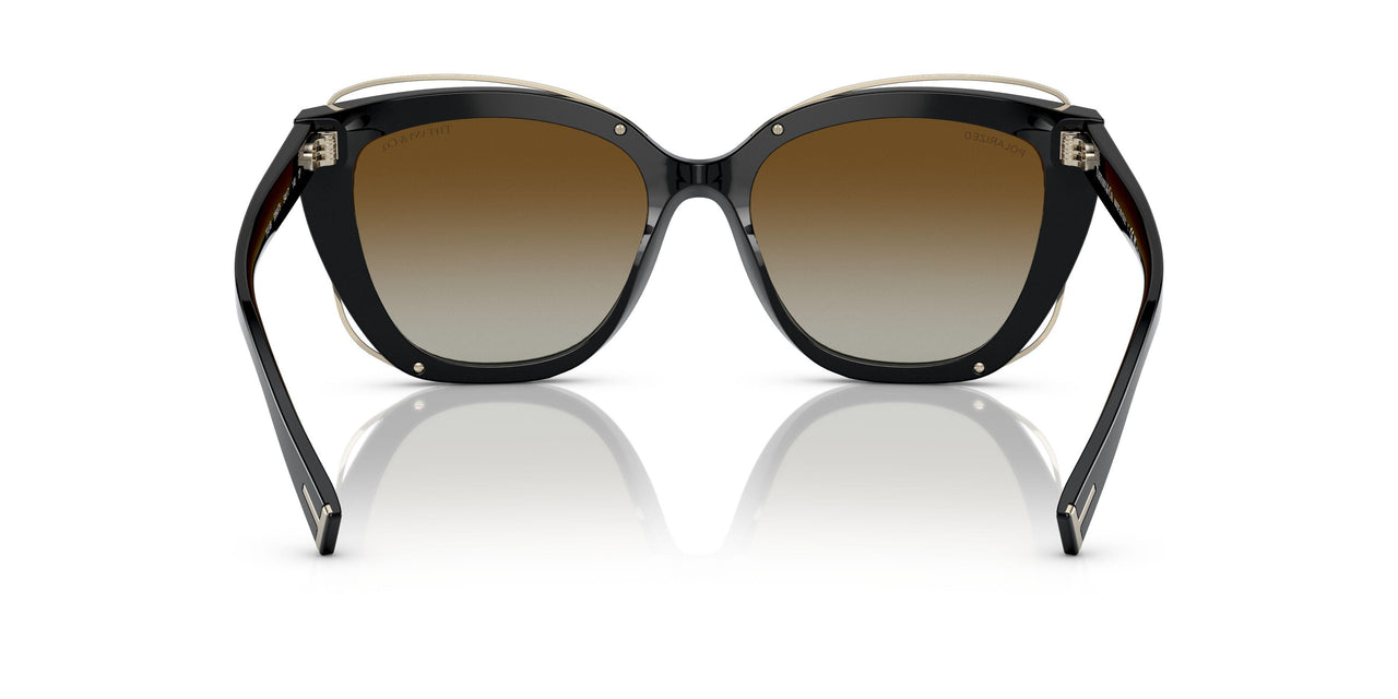 8364T5 - Black - Polar Brown Gradient