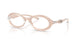 2034 - Brown