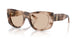 509793 - Tortoise - Light Brown