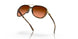 412918 - Havana - Prizm Brown Gradient